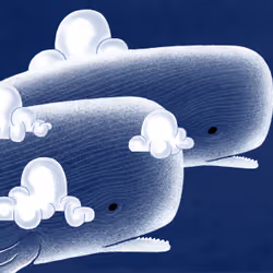 whales meet the flowers