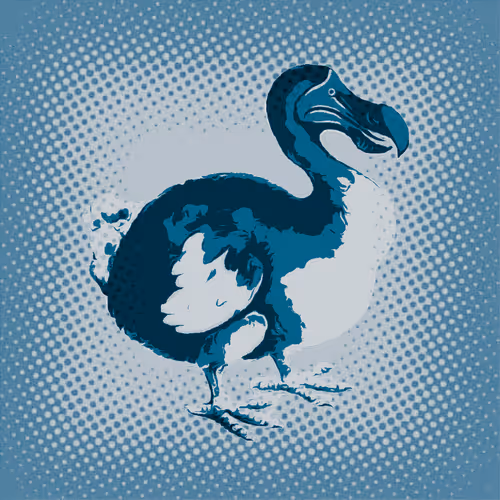 Item #17635803375648012338610213380030160191715370757553255260744606434898019876865 Media