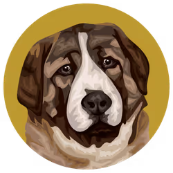 54766349128176429303044182404049584425310907481653304317570413989206448668673