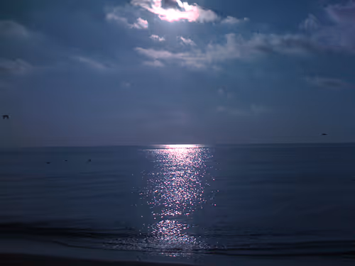 Item #81992218389182375082061007877249714838404389914539111241727743942182869925889 Media