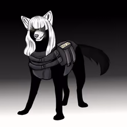 CryptoDogX#37