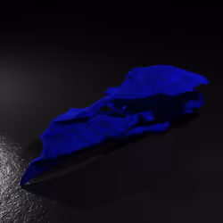 20250001323464517401306315509532802406644919304029953922967480184122359414785