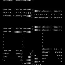 97366873091975668831228897010952886019730937490694161647653922854196981268481