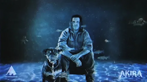 Item #22172945866262605188036727123283191068018609668248326470785367118206057054209 Media