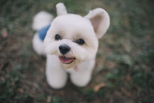 Item #21607923784025543658024067331009769919395041958272689574271021092474087014401 Media