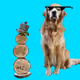 101274683294636612266705335847068558740178233417605734487621976746448492953601