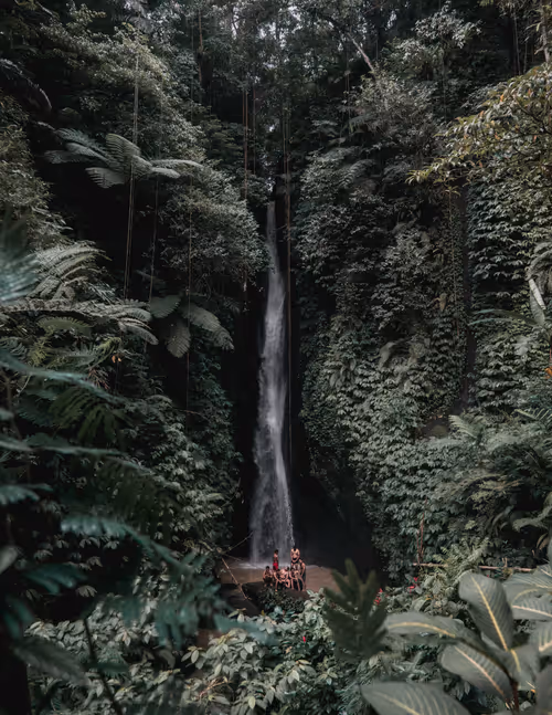 Item #70752512074221398135283330563893228865636439964240069417806288692628240203777 Media