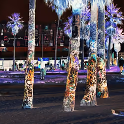 Graffiti Palms