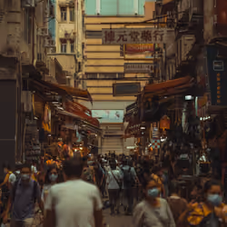 THE MARKET