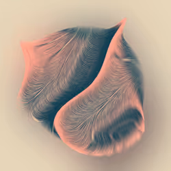 22649125704269163094356241950234990423345502107031132782905604093658513014785