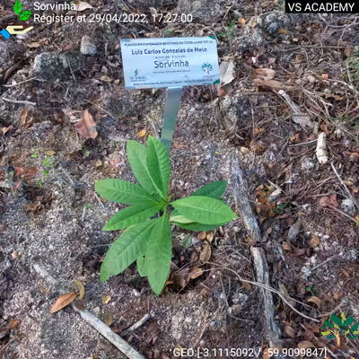 Item #8500196597889277390194123329501889087166328879864934763448348850104593022977 Media