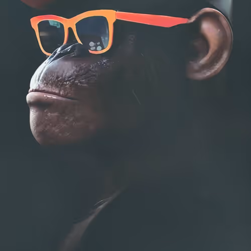 The Three Wise Apes