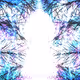 MULTIDIMENSIONAL ROSE - GALACTIC ORIGIN