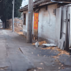 74023677201646755135331308507564903527540019638043320718460698803596272074753