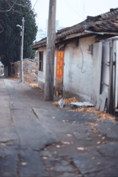 Item #74023677201646755135331308507564903527540019638043320718460698803596272074753 Media