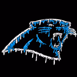 paNTheR dRiP