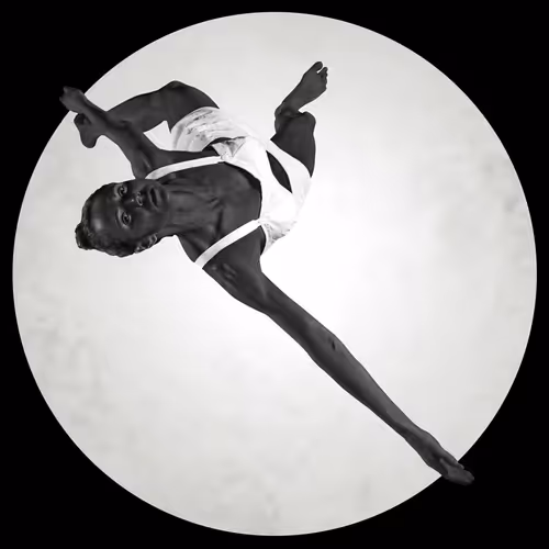 Item #39295881617660702047308411116820510807809487550809716256855874906323182157825 Media