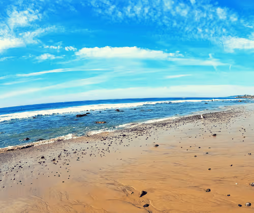 Item #82527419430776432677609198489525539692500095051269265648102109229829867962369 Media