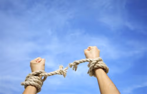 Item #13737896654494772072239944038889197847226574456070729666267242387571705118721 Media