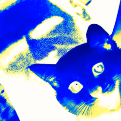 4747115153065902387790593868107453782499677024781155622119190044477497540609