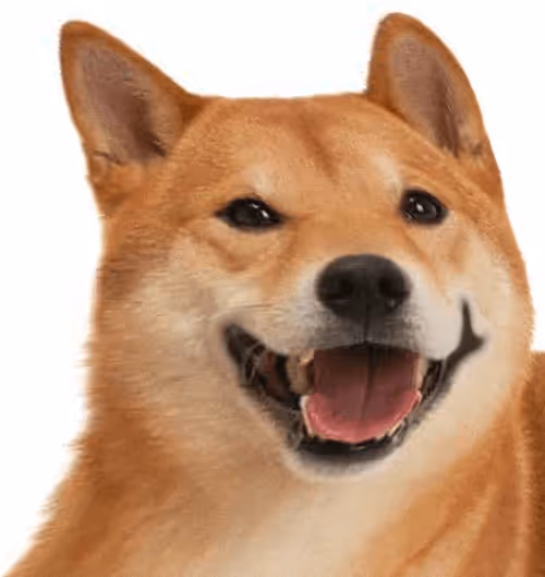 Item #34470142884482375674331152583341387110725961593908059002011227375125571567716 Media