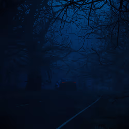 Item #113440740995741118537226381476778753964190778199540095064523067407198865850373 Media