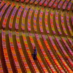 vibrance-1