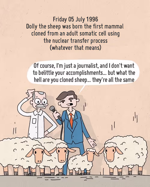 Item #3822153115375046811383226818567566596502772916270780797402783041278221221889 Media