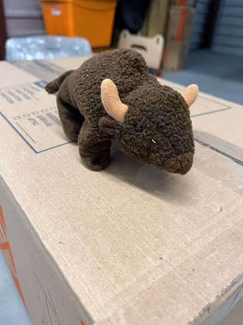 Item #69895845712789826653786545263517762317494824301859345836710210287066526253057 Media