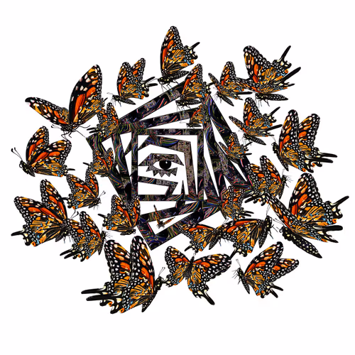 Butterfly Eye By Kesh