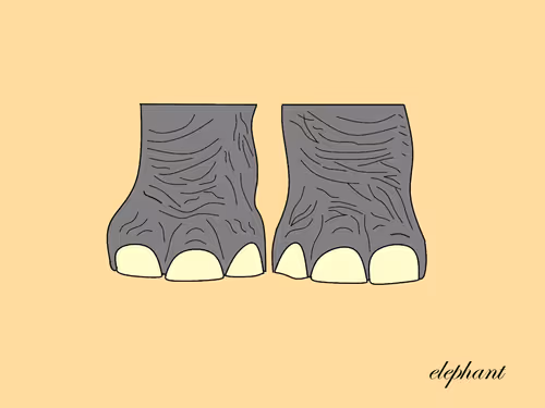 Item #24843950328459654647592333095373915695654115129450378637534313002433645641729 Media