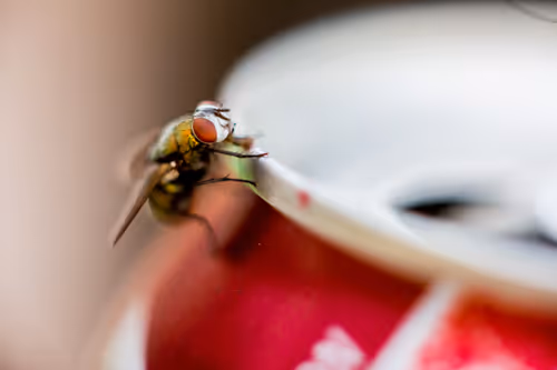 Item #96722404509651341404320943971918278257484839250108932769859130397350577569793 Media