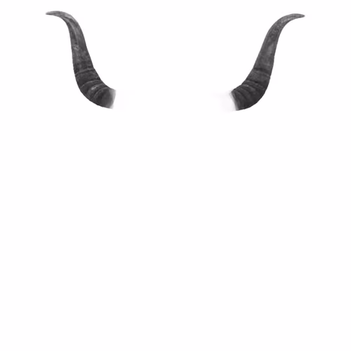 ⟠ 𓃓 ∞ ₿ullish ₳lex's Horns
