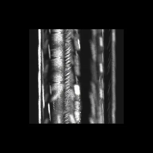 Item #43939955971694368961434358164711021081057237677410347264159754897107405766657 Media