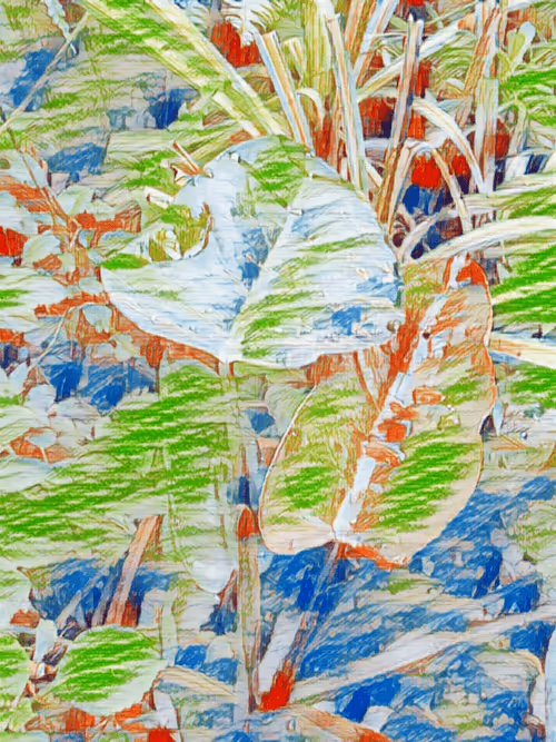 Item #69261177602478584146078213691104273677815526894191982293268527904621372375041 Media