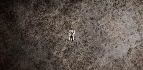 Item #51082641443820473803318409807995596753001585459316189646274989690611403063297 Media