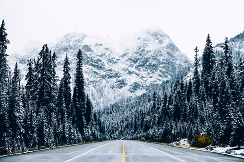 Item #63454844605715267947314910232292346032056647728766809663184741527478694051841 Media