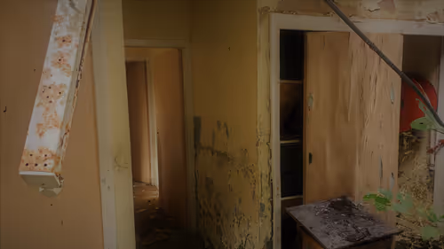 Item #13473500973687785898796463285955460631407349614781281766798596495911761739777 Media