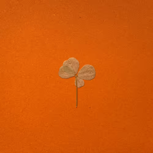 Item #103686640383972386915296784894542231468073856368856454861741467000725301100545 Media