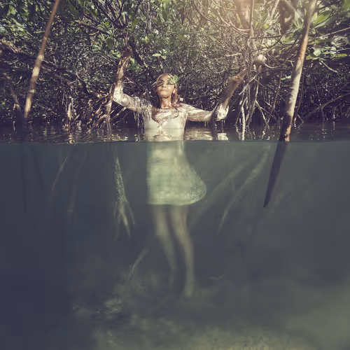 Item #15053791746774206847378132413351543931211387295509872783724080617787018444801 Media