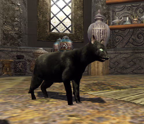 Item #35658392662214642312226296742360412302091329564359364454305730540966701432932 Media