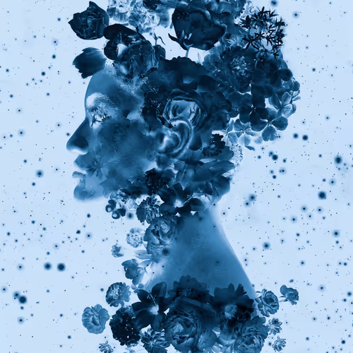 114326855260130091769496603532190643749551084567769454944154782498082449784857