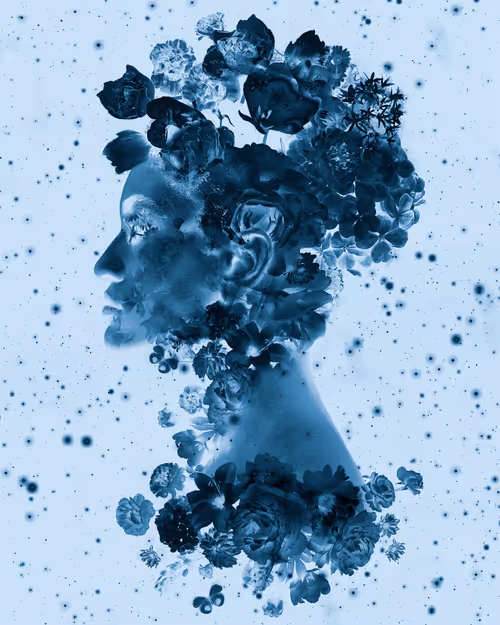 Item #114326855260130091769496603532190643749551084567769454944154782498082449784857 Media