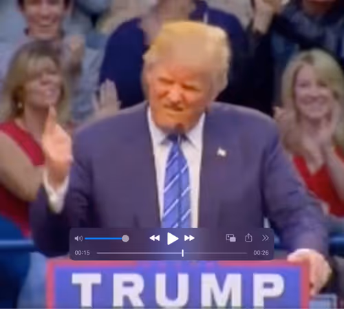 Obama You're Fired