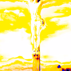 XXVIII