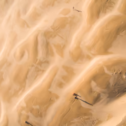 Desert