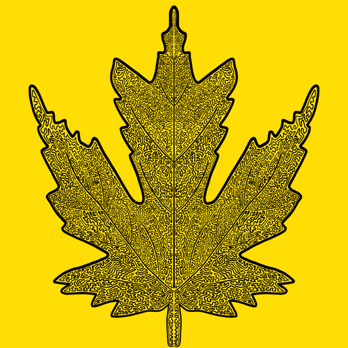 Item #45125160110305917715850497556546832860177607866783194831182744856907625791489 Media