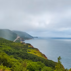Coastline Drives