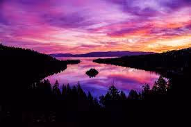 Untitled Collection #22951579