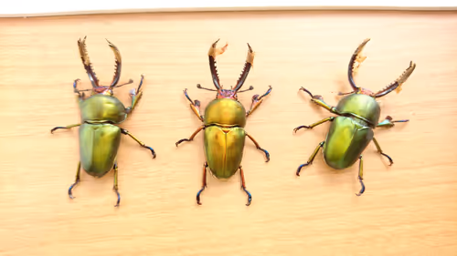 Item #2846893736148873774746802631495866819654136602576950046920721048079588917250 Media